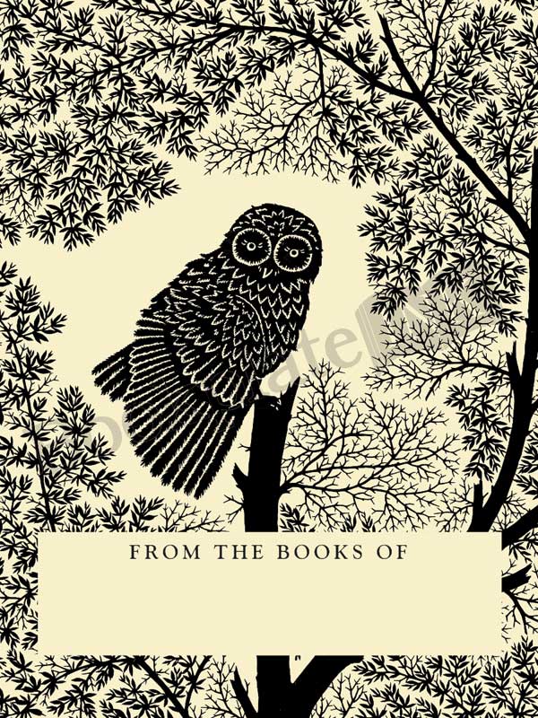 W33-Scherenschnitte-owl-bookplate-