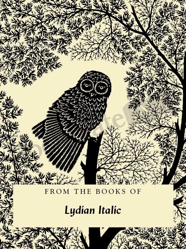 W33 - Scherenschnitte owl bookplate - Image 11