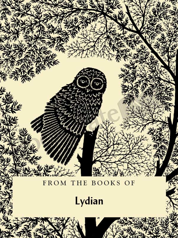 W33 - Scherenschnitte owl bookplate - Image 10