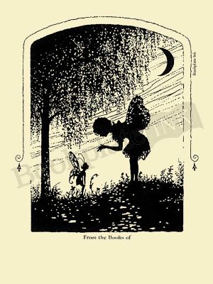 F101-Fairies-Under-Moonlight