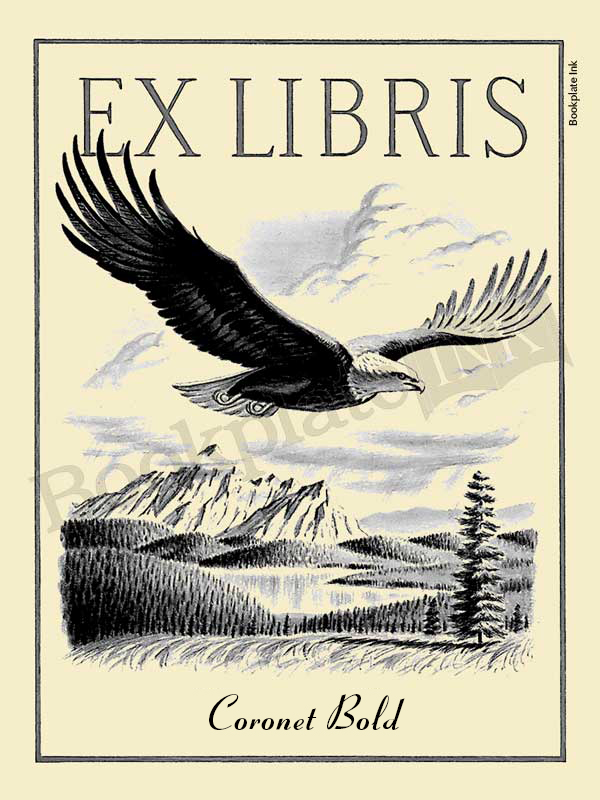 A111 - Majestic flying eagle bookplate with ex libris wording - Image 3