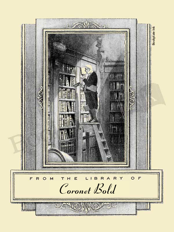 B208 - Carl Spitzweg man on ladder (The Bookworm) bookplate - Image 3