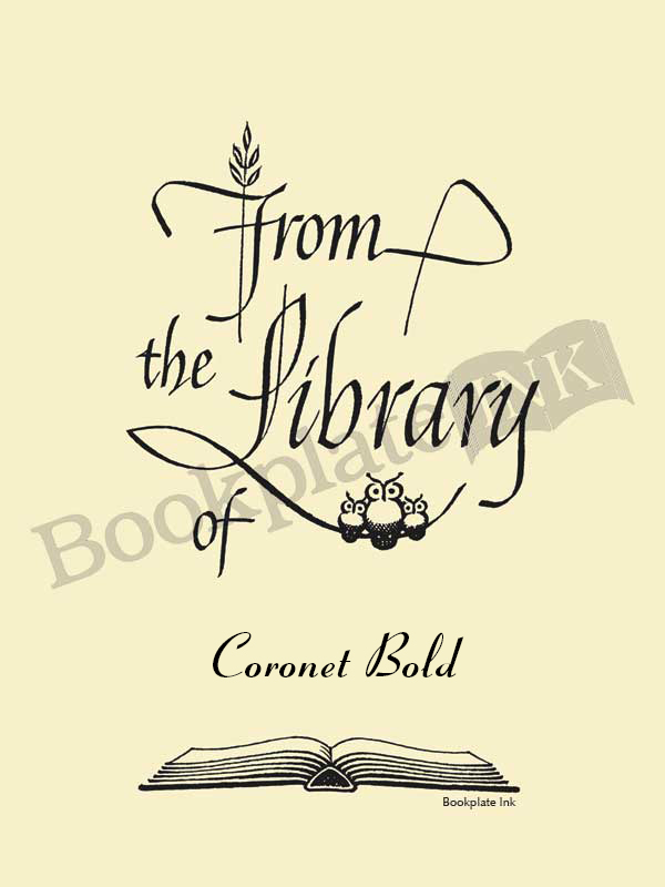 B213 - Three owls calligraphy design by Raymond DaBoll - Image 3