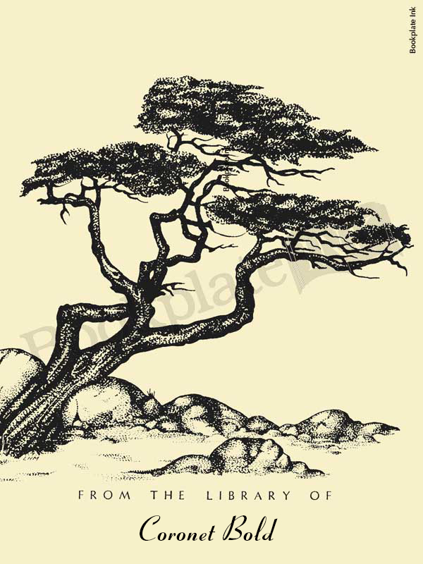 B61 - Windswept tree over rocks bookplate - Image 3