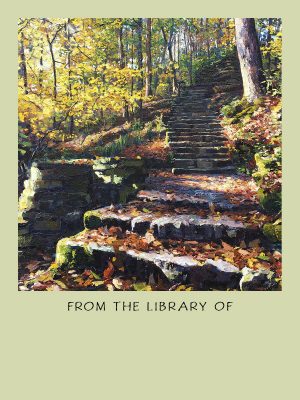 GH100 - Glen Helen steps